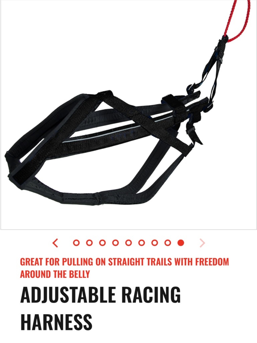 Adjustable Racing Dog Harness - Yellow/Black Xlarge